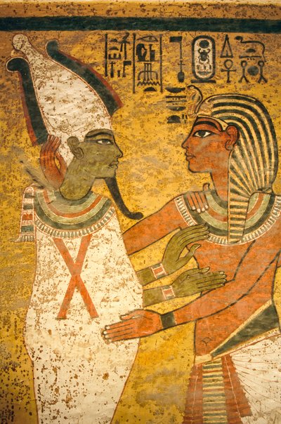 Pittura murale nella tomba del Re Tutankhamon; Egitto; Nuovo Regno; Tutankhamon; Valle dei Re da Kenneth Garrett