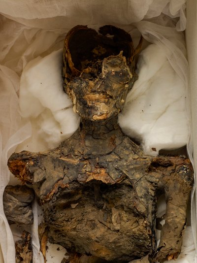 18ª Dinastia; Nuovo Regno; Egitto; Museo Egizio; Cairo; Mummia; Valle dei Re, 2009 (foto) da Kenneth Garrett