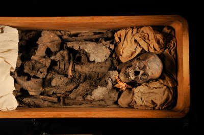 mm7864; Tutankhamon; XVIII dinastia; Nuovo Regno; Museo Egizio; Il Cairo; DNA; campione, 2005 da Kenneth Garrett
