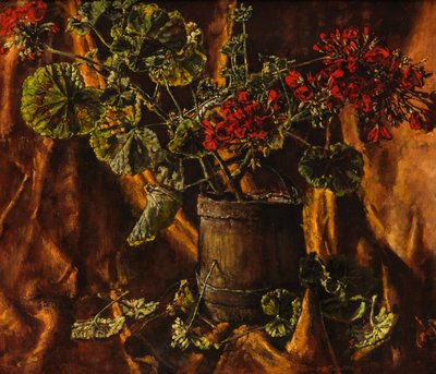 Natura morta con begonie da Kenneth Newton