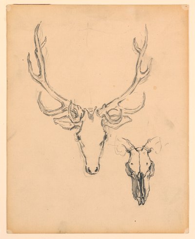 Studio di testa di cervo da Kenyon Cox