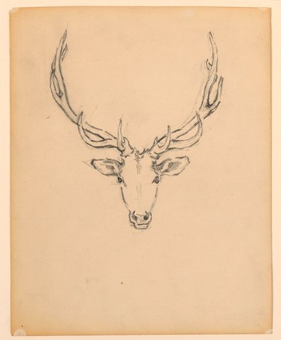 Studio di testa di cervo da Kenyon Cox