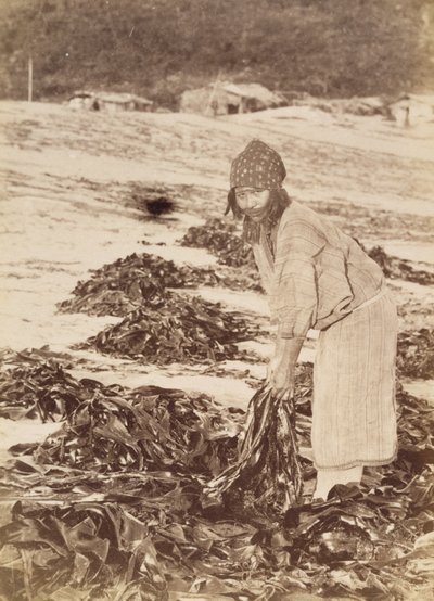 Donna Ainu che raccoglie alghe da Kenzô Tamoto