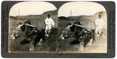 Agricoltura vicino a Seoul, Corea del Sud, anni 1900 da Keystone View Company
