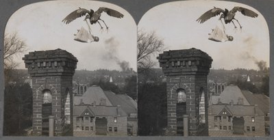 Nei Tempi Antichi, se le Persone Erano Buone, la Cicogna Portava un Bambino Dolce e Bello, 1907 da Keystone View Company