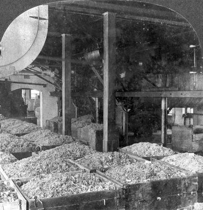 Produzione di carta da stracci, Holyoke, Massachusetts, USA da Keystone View Company
