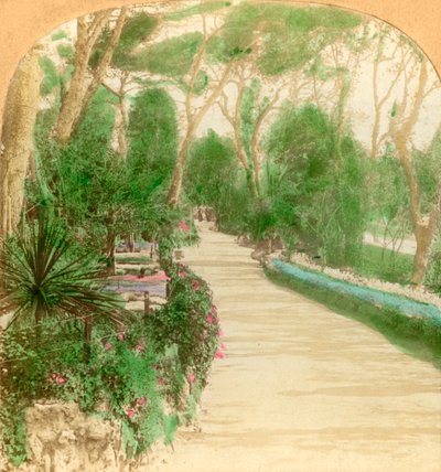 Passeggiata, Giardino Alameda, Rocca di Gibilterra, 1896 da Keystone View Company