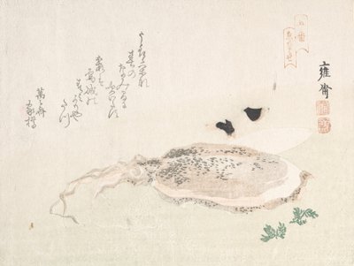 Seppia, inizio XIX secolo da Kikuchi Yosai