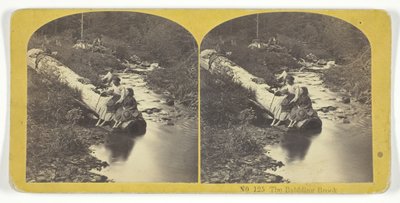 Il ruscello gorgogliante, 185575. Creatori: Kilburn Brothers, BW Kilburn da Kilburn Brothers, BW Kilburn