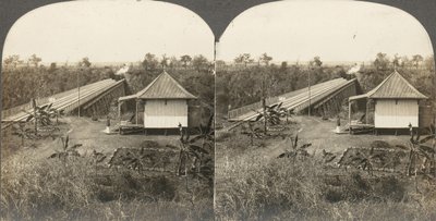 Gruppo di 14 stereografie dell