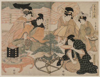 Immagine della prima visita ai quartieri del piacere da Kitagawa Tsukimaro
