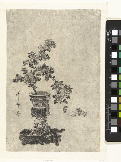 Crisantemi in vaso da Kitagawa Utamaro (attributed to)