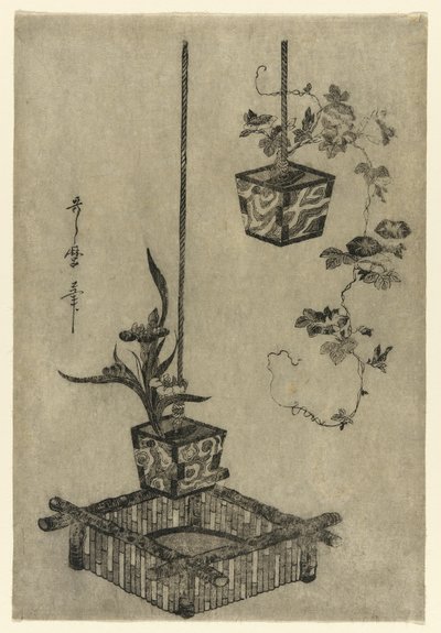 Disposizioni di iris e glorie del mattino da Kitagawa Utamaro