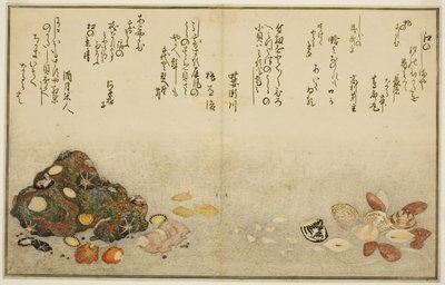 Ashi-gai, hamaguri, ko-gai, suzume-gai, akoya-gai e katashi-gai, dal libro illustrato "Gifts from the Ebb Tide (Shiohi no tsuto)" da Kitagawa Utamaro