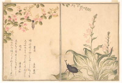  da Kitagawa Utamaro