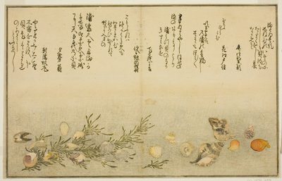 Beni-gai, hora-gai, urauzu-gai, wasure-gai, chiyonohana-gai e masuho-gai, dal libro illustrato "Regali dalla Bassa Marea (Shiohi no tsuto)" da Kitagawa Utamaro