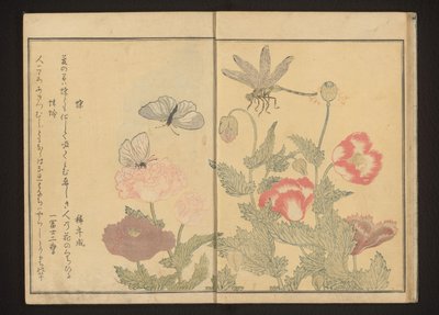 Farfalle e libellula vicino ai papaveri da Kitagawa Utamaro