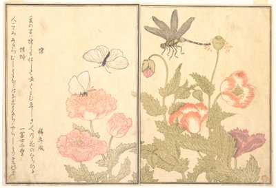  da Kitagawa Utamaro