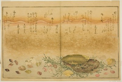 Chidori-gai, itaya-gai, awabi, utsuse-gai, asari-gai, e monoara-gai, dal libro illustrato "Regali dalla Bassa Marea (Shiohi no tsuto)" da Kitagawa Utamaro