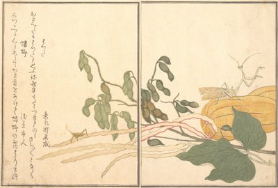 Cavalletta o Locusta con Testa a Cono, batta, Mantide Religiosa Toro o Kamakiri..., 1788 da Kitagawa Utamaro