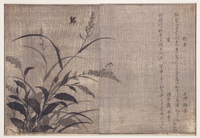 Grilli e lucciole, 1788 da Kitagawa Utamaro