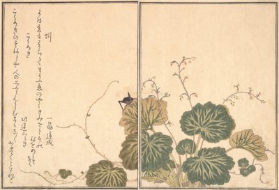 Lombrico Mimizu, Grillo Korogi da Kitagawa Utamaro