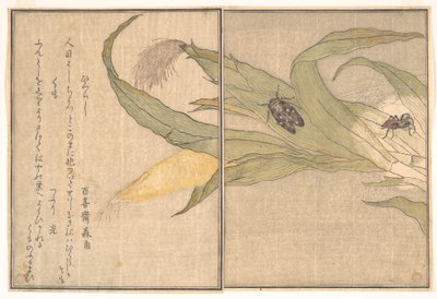  da Kitagawa Utamaro