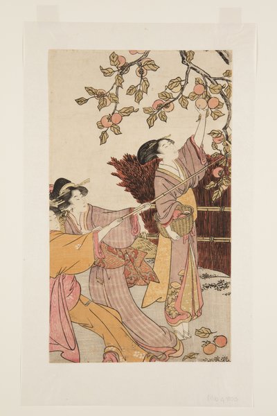 Raccolta di cachi da Kitagawa Utamaro