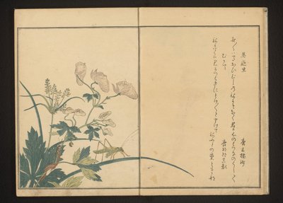 Cavalletta e centopiedi su pianta di aconito da Kitagawa Utamaro