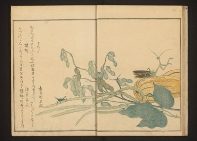 Cavalletta su fagiolo e mantide religiosa su melone da Kitagawa Utamaro