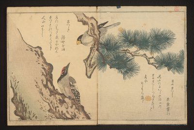 Grosbeak e picchio da Kitagawa Utamaro