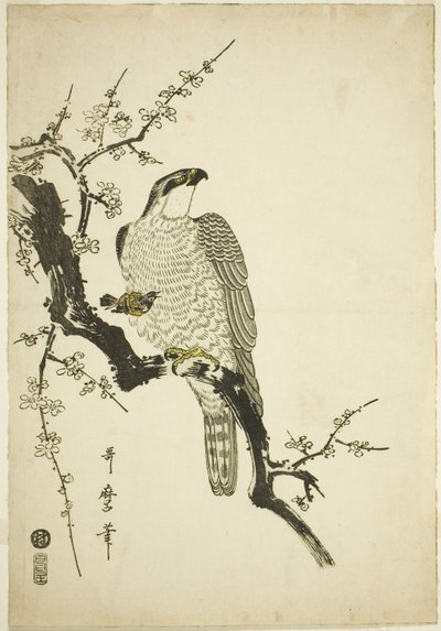 Falco su un ramo di prugna da Kitagawa Utamaro