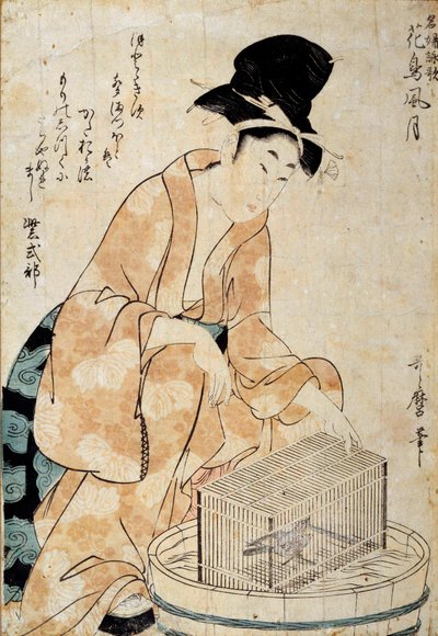 Arte giapponese: donna seduta davanti a una gabbia per uccelli. Disegno di Outamaro (Utamaro) Kitagawa (1753-1806) XVIII secolo. Rennes, Museo delle Belle Arti da Kitagawa Utamaro