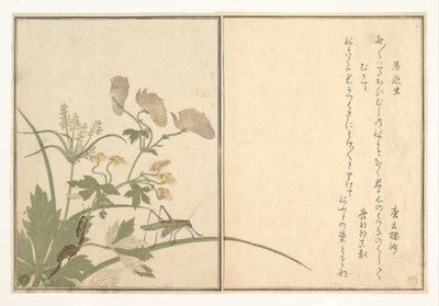  da Kitagawa Utamaro