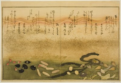 Minashi-gai, shio-gai, katatsu-gai, miso-gai, chijimi-gai, e chigusa-gai, dal libro illustrato "Regali dalla Bassa Marea (Shiohi no tsuto)" da Kitagawa Utamaro