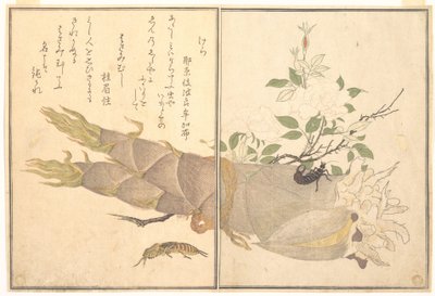 Grillo talpa (Kera); Forbicina (Hasami-mushi), tratto dal libro illustrato “Ehon mushi erami” (Il libro illustrato degli insetti striscianti) da Kitagawa Utamaro