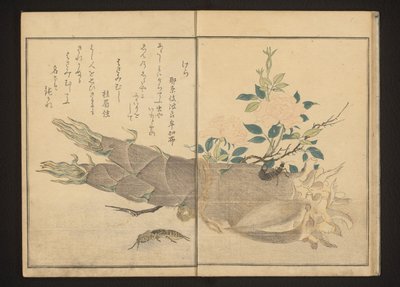 Grillo talpa e forbicina su germoglio di bambù da Kitagawa Utamaro