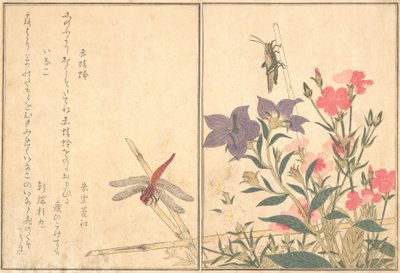 Libellula rossa Akatonbo, locusta Inago..., 1788 da Kitagawa Utamaro