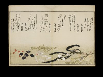 Shiohi no tsuto (Regali dalla marea calante), noto come il Libro delle Conchiglie, 1789 da Kitagawa Utamaro