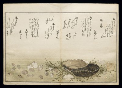 Shiohi no tsuto (Regali dalla marea calante), noto come il Libro delle Conchiglie, 1789 da Kitagawa Utamaro