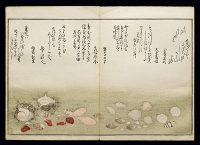 Shiohi no tsuto (Regali dalla marea calante), noto come il Libro delle Conchiglie, 1789 da Kitagawa Utamaro