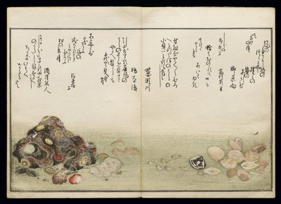 Shiohi no tsuto (Regali dalla marea calante), noto come il Libro delle Conchiglie, 1789 da Kitagawa Utamaro