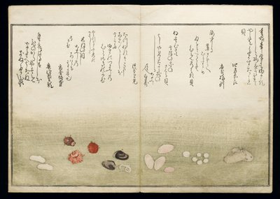 Shiohi no tsuto (Regali dalla marea calante), noto come il Libro delle Conchiglie, 1789 da Kitagawa Utamaro