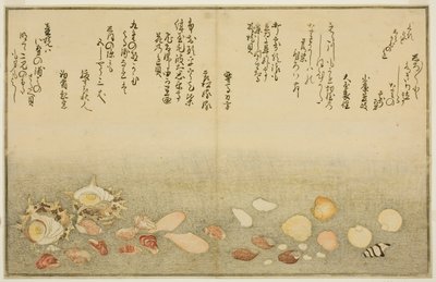 Shiro-gai, namima-gashiwa, makura-gai, iro-gai, aza-gai, sadae-gai, dal libro illustrato "Regali dalla marea calante (Shiohi no tsuto)" da Kitagawa Utamaro