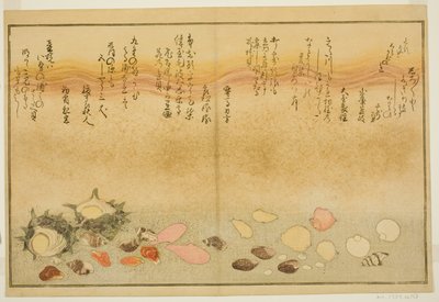 Shiro-gai, namima-gashiwa, makura-gai, iro-gai, aza-gai, sadae-gai, dal libro illustrato "Regali dalla marea calante" da Kitagawa Utamaro