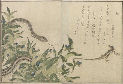Serpente e lucertola, 1788 da Kitagawa Utamaro