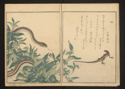 Serpente e lucertola vicino a un cespuglio da Kitagawa Utamaro