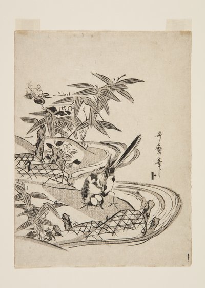 Passero da Kitagawa Utamaro