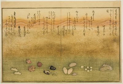 Sudare-gai, hana-gai, sakura-gai, mumeno-gai, nadeshiko-gai e kinuta-gai, dal libro illustrato "Regali dalla marea calante" da Kitagawa Utamaro