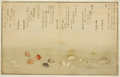 Sudare-gai, hana-gai, sakura-gai, mumeno-gai, nadeshiko-gai e kinuta-gai, dal libro illustrato "Regali dalla marea calante" da Kitagawa Utamaro